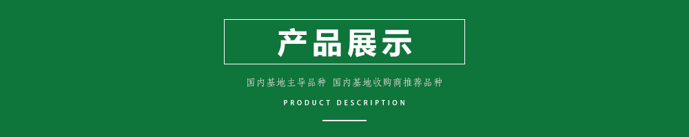 1558591651516691.jpg 00新產(chǎn)品.jpg